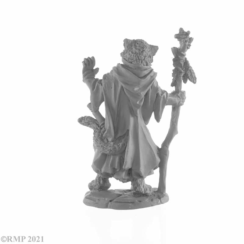 RPR04052 Catfolk Mage Miniature 25mm Heroic Scale Figure Dark Heaven Legends 3rd Image
