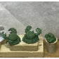 RPR04054 Piranha Crabs Miniature 25mm Heroic Scale Figure Dark Heaven 5th Image