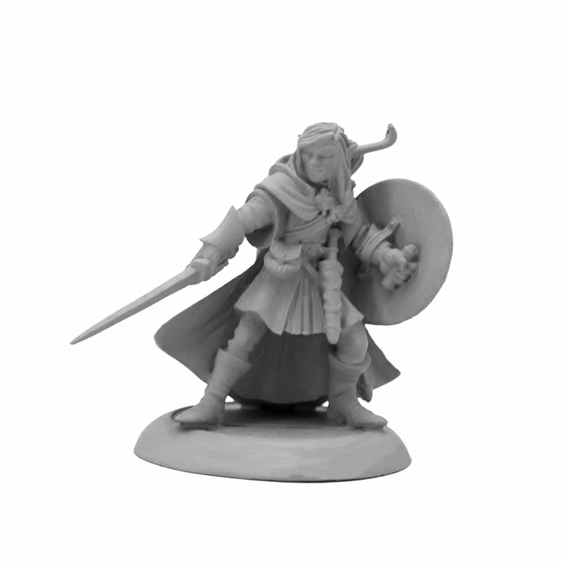 RPR07026 Elf Warrior Miniature Figure 25mm Heroic Scale Dungeon Dwellers Reaper Miniatures Main Image