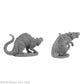 RPR07035 Barrow Rats Miniature 25mm Heroic Scale Figure Dungeon Dwellers 3rd Image