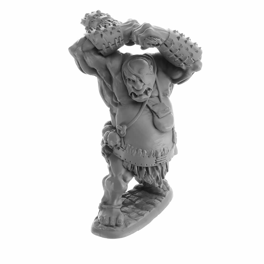 RPR07061 Ogre Guard Miniature 25mm Heroic Scale Figure Dungeon Dwellers Main Image