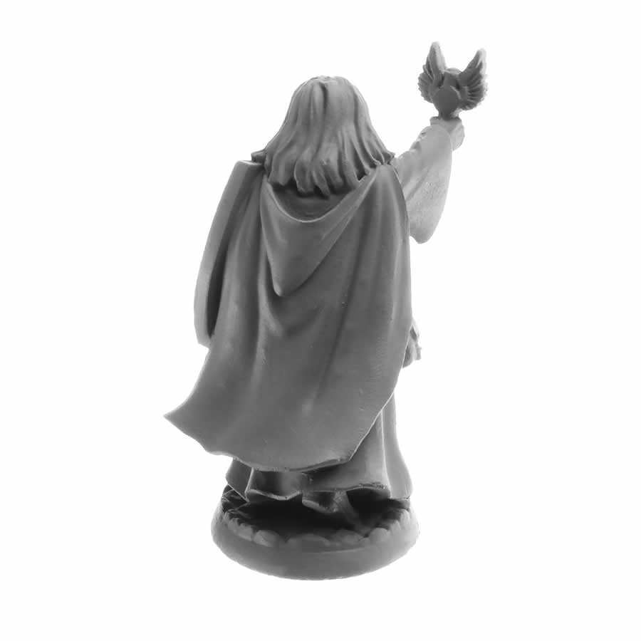 RPR07066 Thess Ironfaith Miniature 25mm Heroic Scale Figure Dungeon Dwellers Reaper Miniatures