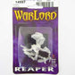 RPR14597 Toghra the Despoiler Miniature 25mm Heroic Scale Warlord 2nd Image