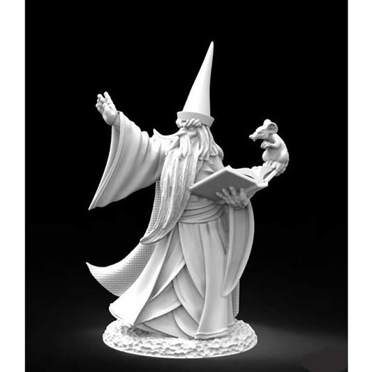 RPR30002 Darius The Wizard Miniature Figure 25mm Heroic Scale Reaper Bones USA Main Image