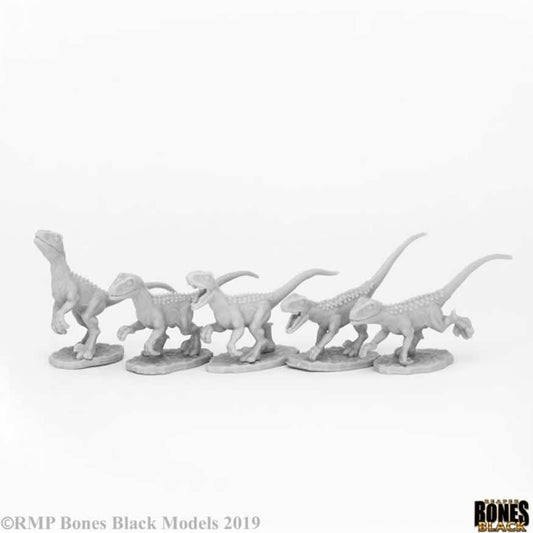 RPR44081 Raptor Hunting Pack Miniature 25mm Heroic Scale Bones Black Main Image