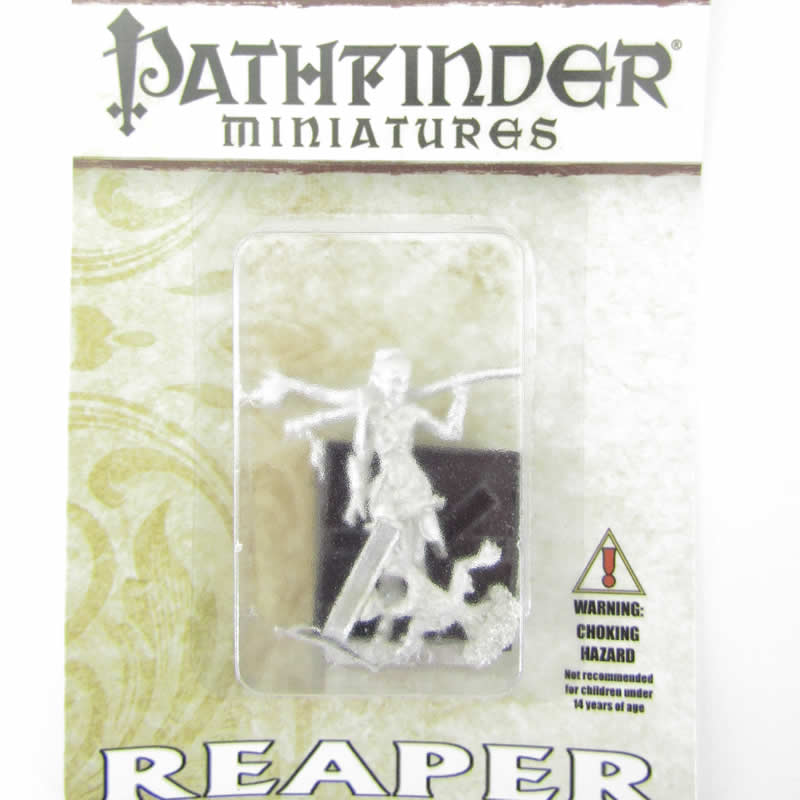RPR60147 Druid and Familiar Miniatures 25mm Heroic Scale Pathfinder 2nd Image