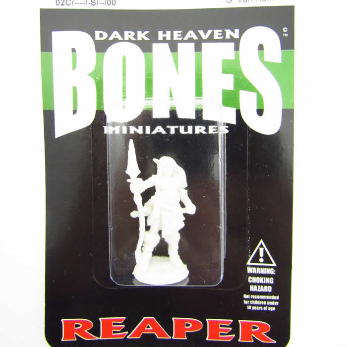 RPR77489 Valkyrie Bregan Miniature 25mm Heroic Scale Dark Heaven 2nd Image