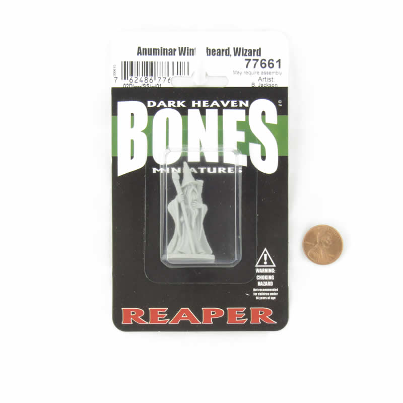 RPR77661 Anuminar Winterbeard Wizard Miniature 25mm Heroic Scale Figure Dark Heaven Bones 2nd Image