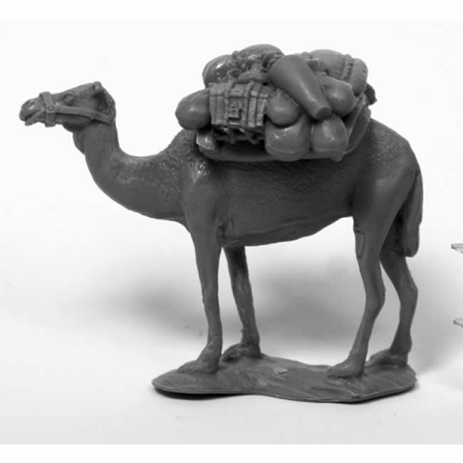 RPR80075 Camel with Pack Miniature 25mm Heroic Scale Chronoscope Main Image