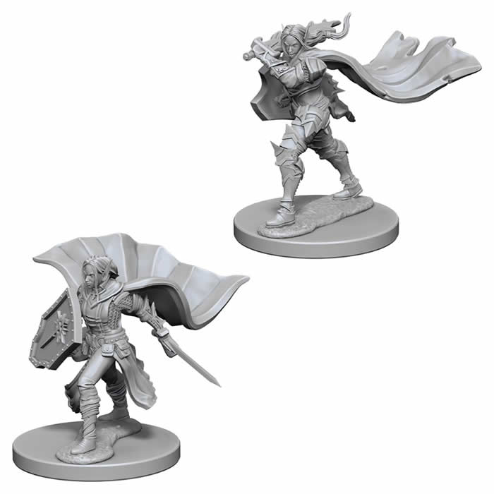 WZK72609 Elf Female Paladin Pathfinder Battles Miniatures Unpainted Main Image