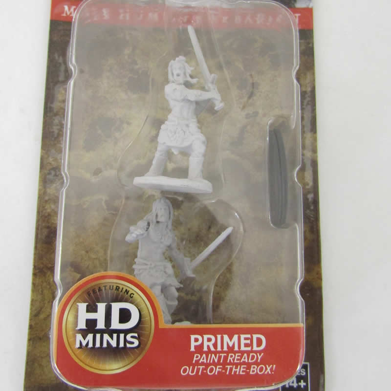 WZK73413 Male Human Barbarian Pathfinder Battles Miniatures Unpainted 2nd Image