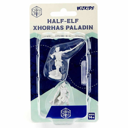 WZK90390 Half-elf Pally Xhorhas Paladin Female Unpainted Miniatures Critical Role Series Figures Main Image