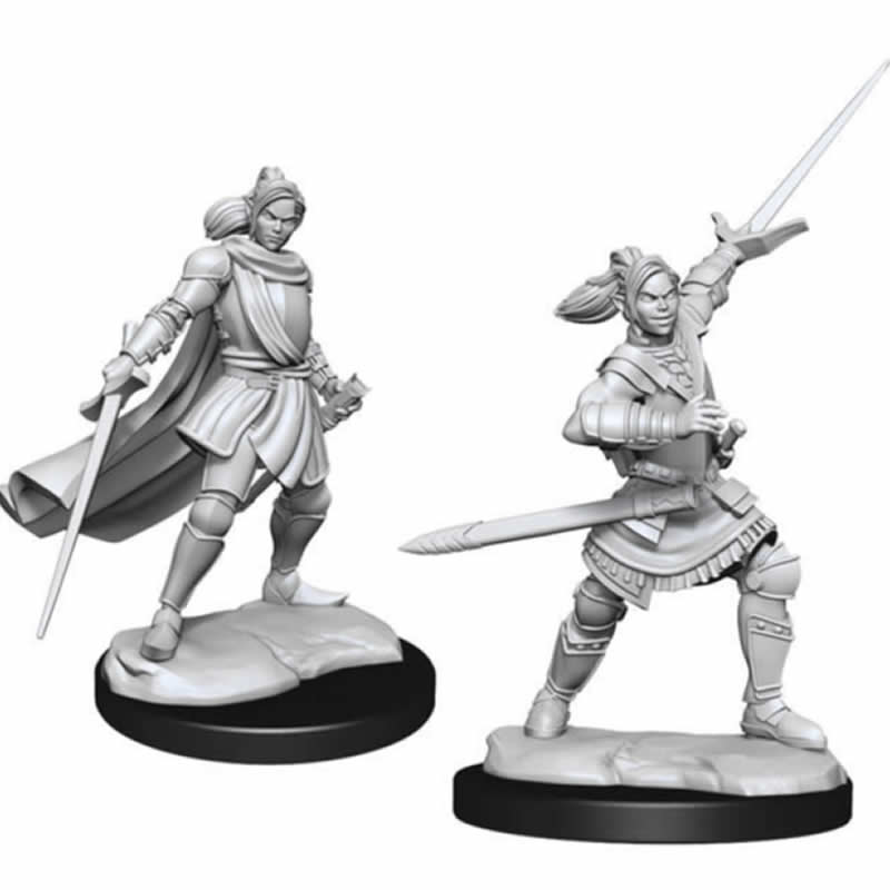 WZK90390 Half-elf Pally Xhorhas Paladin Female Unpainted Miniatures Critical Role Series Figures 3rd Image